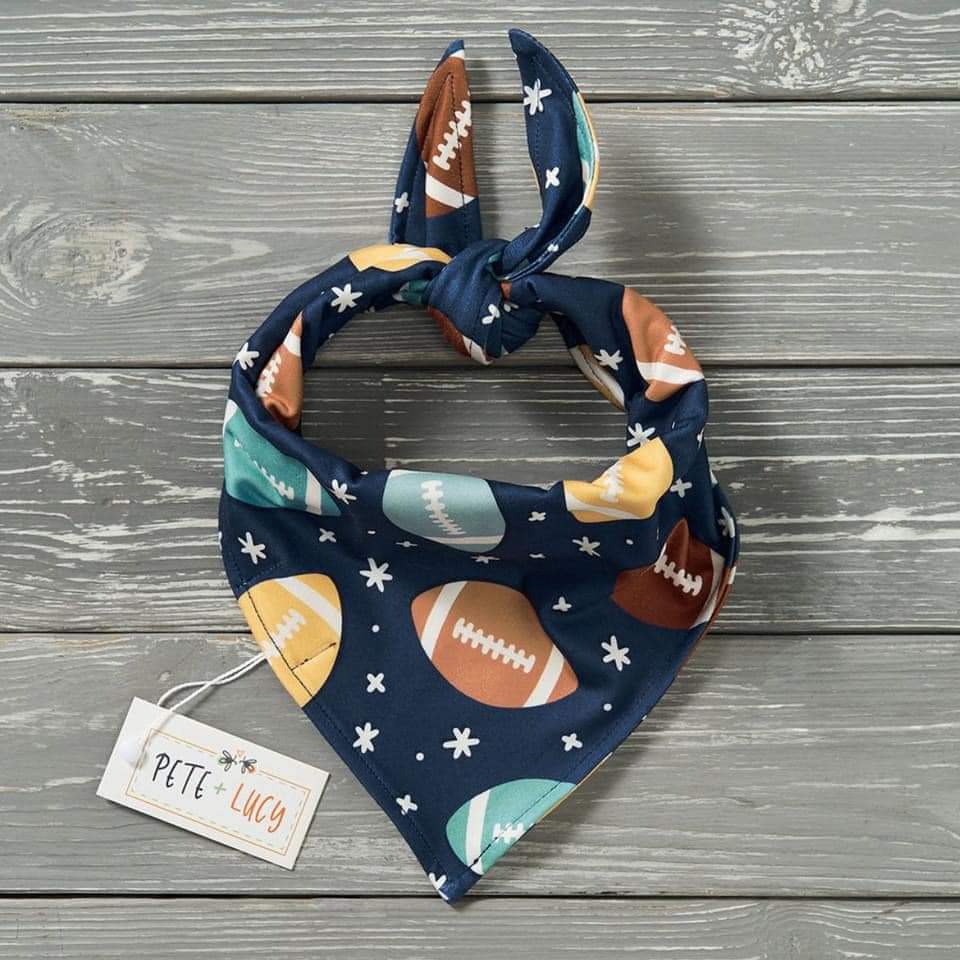 Touchdown - Dog Bandana